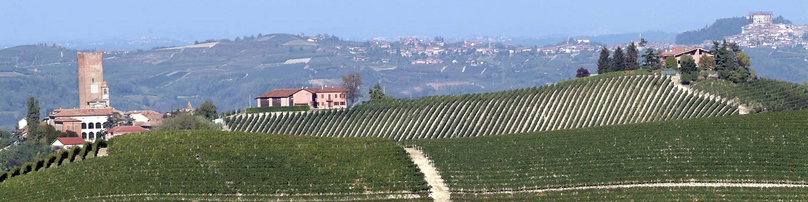 Angelo Gaja Eine weite Landschaft mit sanften Hügeln, die mit Weinreben bepflanzt sind. Im Vordergrund stehen mehrere Gebäude, einschließlich eines höheren Turmes, und im Hintergrund sind weitere Hügel und ein Dorf sichtbar.