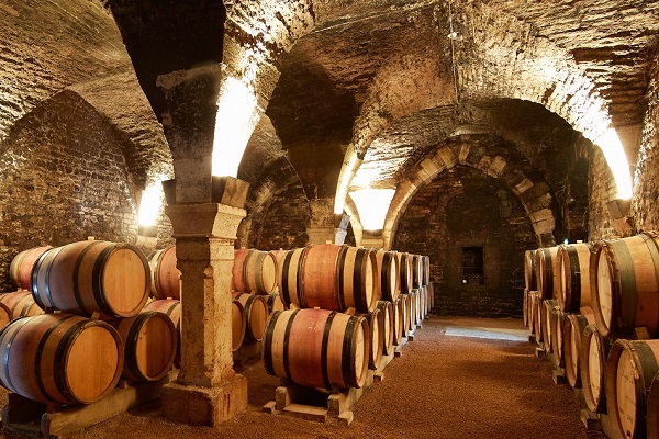 Ein Weinkeller mit großen, runden Eichenfässern, die ordentlich angeordnet sind. Sanftes Licht beleuchtet die steinernen Wände und die gewölbte Decke, die eine gemütliche Atmosphäre schafft.