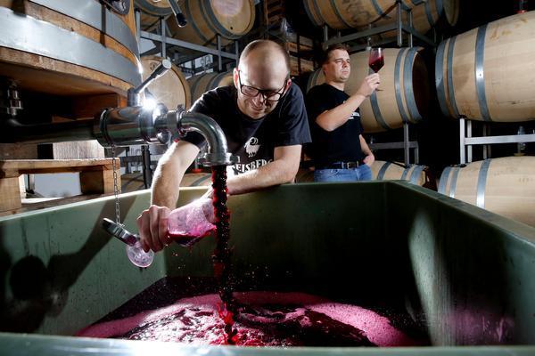 Ein Winzer füllt roten Wein aus einem großen Behälter in eine Flasche, während ein Kollege im Hintergrund ein Glas Wein hält. Die Umgebung besteht aus Holzfässern und einem Weinkeller.