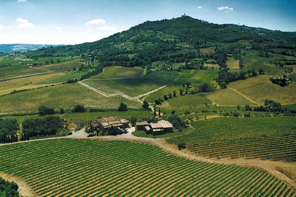 Ein weitläufiges Weinfeld erstreckt sich unter einem blauen Himmel, umgeben von sanften Hügeln und Bäumen. Im Vordergrund steht ein Bauernhaus mit mehreren Gebäuden.