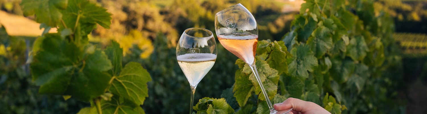 Roederer Estate Zwei Gläser Sekt werden angestoßen, während sich üppige grüne Weinblätter im Hintergrund befinden. Die Szene strahlt eine festliche, entspannte Atmosphäre im Freien aus.