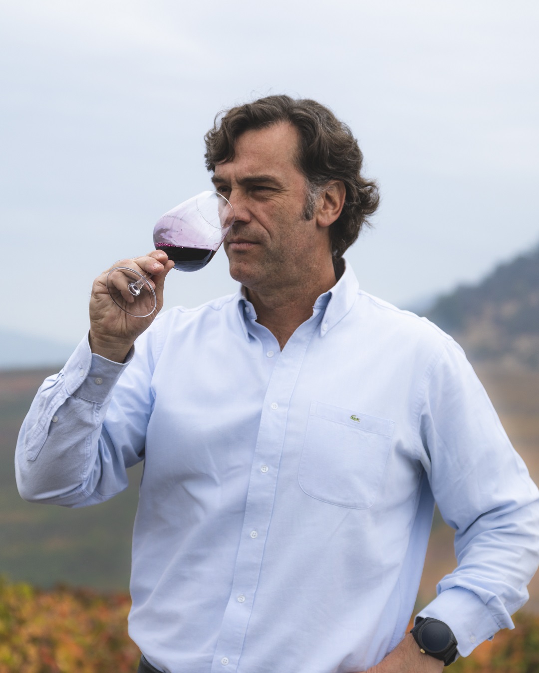 Ein Mann in einem hellblauen Hemd hält ein Weinglas mit rotem Wein an seine Nase und riecht daran. Im Hintergrund sind Weinreben und eine hügelige Landschaft zu sehen.