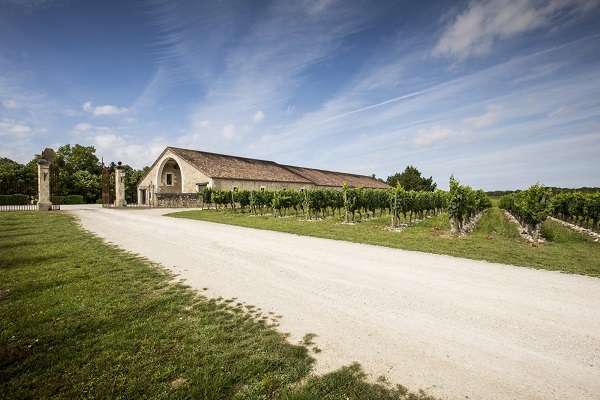 Ein Kiesweg führt zu einem Weingut mit einem großen, traditionell gestalteten Gebäude. Rechts und links erstrecken sich Weinreben unter einem blauen Himmel mit einigen Wolken.