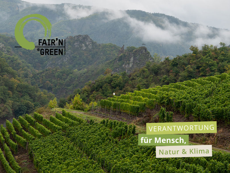 Weinreben erstrecken sich über sanfte Hügel in einer bewaldeten Umgebung. Nebel umhüllt die Berge, während im Vordergrund das Logo -FAIR‘N GREEN- und der Text -VERANTWORTUNG für Mensch, Natur &amp; Klima- sichtbar sind.
