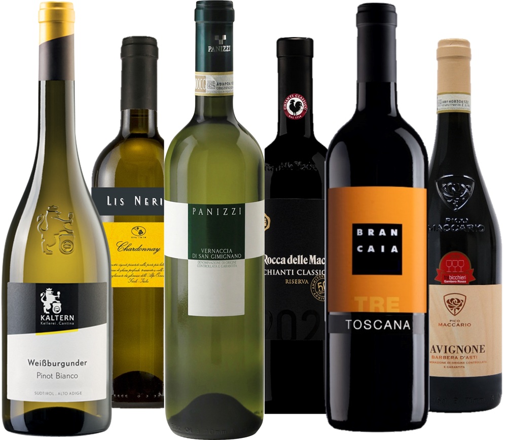 Weinpaket Weinreise Italien Sechs Weinflaschen stehen in einer Reihe. Die Flaschen umfassen verschiedene Sorten, darunter Weiß- und Rotweine, mit Etiketten in verschiedenen Farben und Designs.