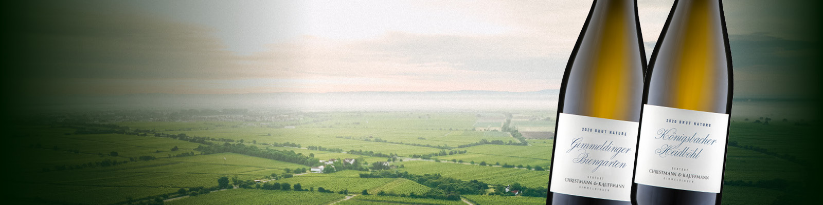 Zwei Flaschen Sekt stehen im Vordergrund, links und rechts, vor einer weiten Weinlandschaft. Der Himmel ist bewölkt, mit einem sanften Licht, das die Rebenfelder beleuchtet.