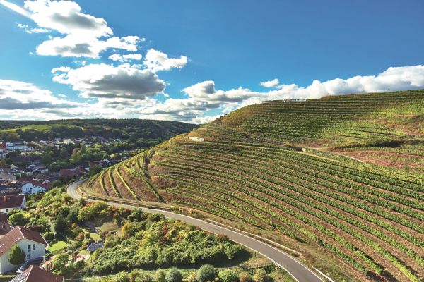 Ein Hügel mit terrassierten Weinreben erstreckt sich entlang einer kurvenreichen Straße. Im Hintergrund sind Wohnhäuser und ein klarer blauer Himmel mit einigen Wolken sichtbar.