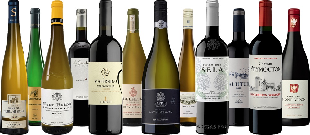 Eine Auswahl an Weinflaschen unterschiedlichen Stils und Ursprungs steht nebeneinander. Einige Flaschen sind Weißwein, andere Rotwein, mit verschiedenen Etiketten und Farben. Die Flaschen sind auf einem neutralen Hintergrund platziert.