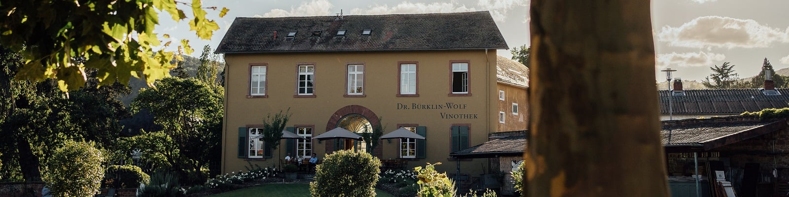 Dr. Bürklin-Wolf