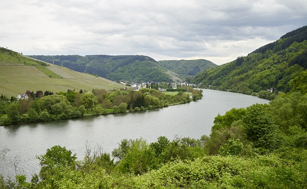 Ein ruhiger Fluss fließt durch eine grüne Landschaft mit sanften Hügeln und Bäumen. Im Hintergrund sind kleine Dörfer und Weinberge sichtbar, während der Himmel bewölkt ist.