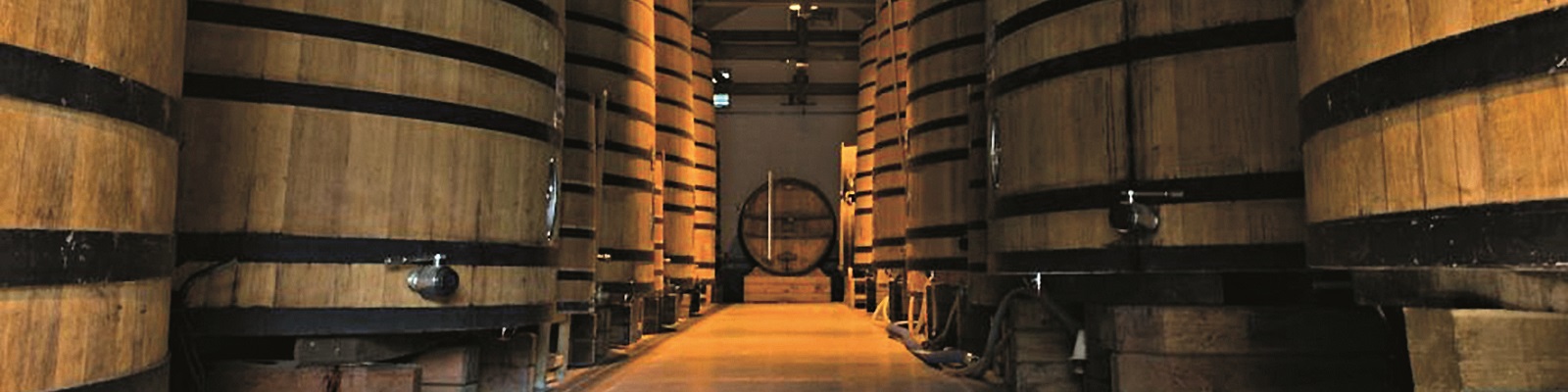 Calvados Boulard Große Holzfässer stehen in einem langen, beleuchteten Raum. Der Boden ist aus Holz, und das Licht beleuchtet die prächtigen Fässer, die ordentlich ausgerichtet sind.