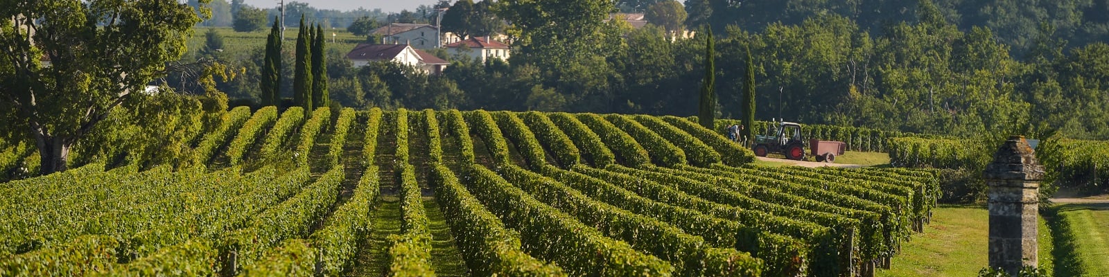 Bordeaux Weingut
