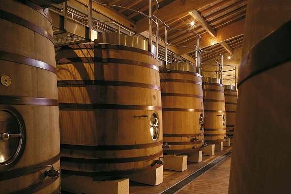 Große Holzfässer stehen in einer Weinkellerei. Die Fässer sind ordentlich angeordnet und haben metallene Ringe. Die Umgebung ist gut beleuchtet, mit einem rustikalen Holzdecke.