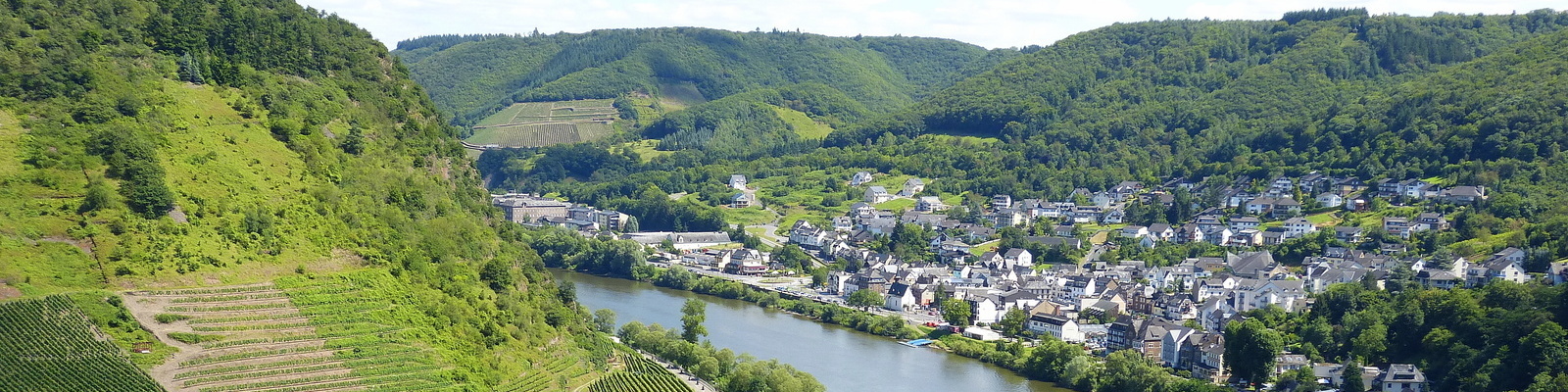 Grüne Hügel umgeben ein kleines Dorf am Flussufer, mit Häusern, die sich an den Landschaften entlangziehen. Weinberge sind im Vordergrund sichtbar, und die Natur ist üppig und bewaldet.
