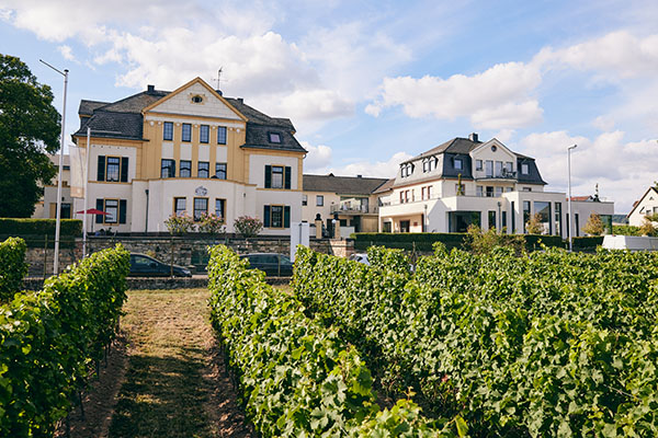 Reben wachsen in einem Weinberg direkt vor eleganten Wohnhäusern. Im Hintergrund sind weitere Gebäude zu sehen, während der Himmel teilweise bewölkt ist.