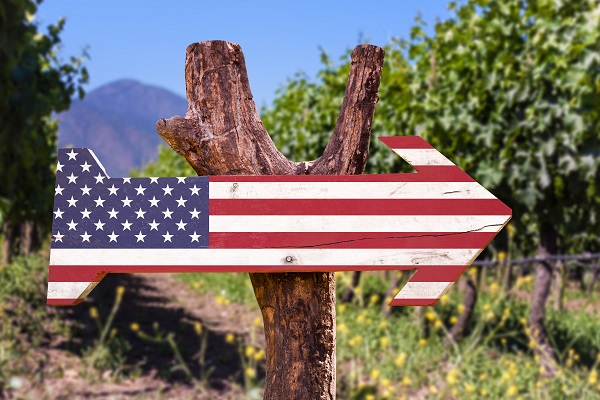 Ein Holzschild in Form eines Pfeils zeigt nach rechts und ist mit der amerikanischen Flagge dekoriert. Im Hintergrund erstrecken sich Weinreben und sanfte Hügel.