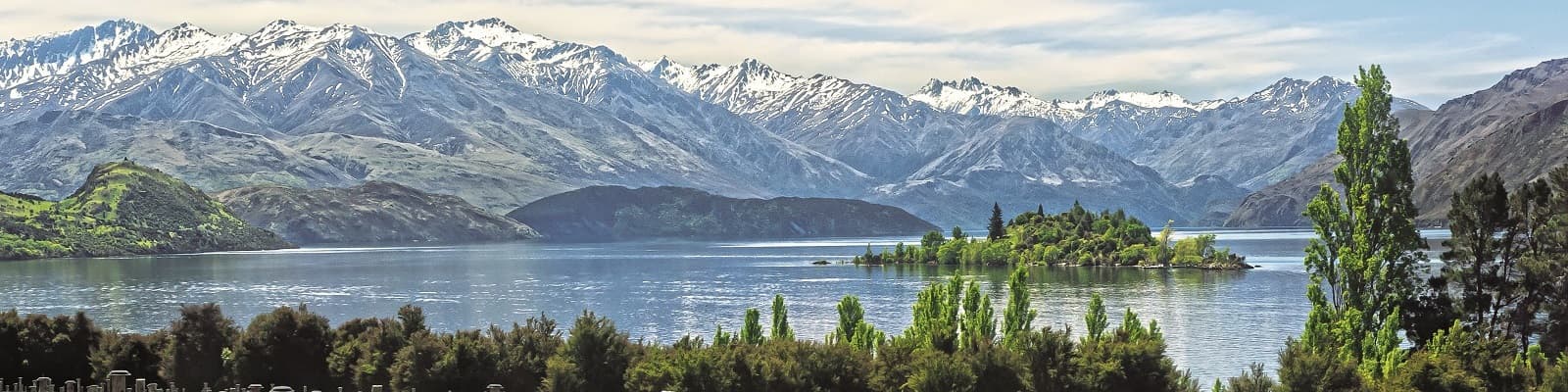 Weinberg mit See Neuseeland