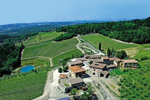 Ein malerisches Hügelanwesen umgeben von Weinbergen. Im Vordergrund steht eine Gruppe von traditionellen Gebäuden, während im Hintergrund Bäume und sanfte Hügel den Horizont säumen. Ein kleiner Teich ist ebenfalls sichtbar.