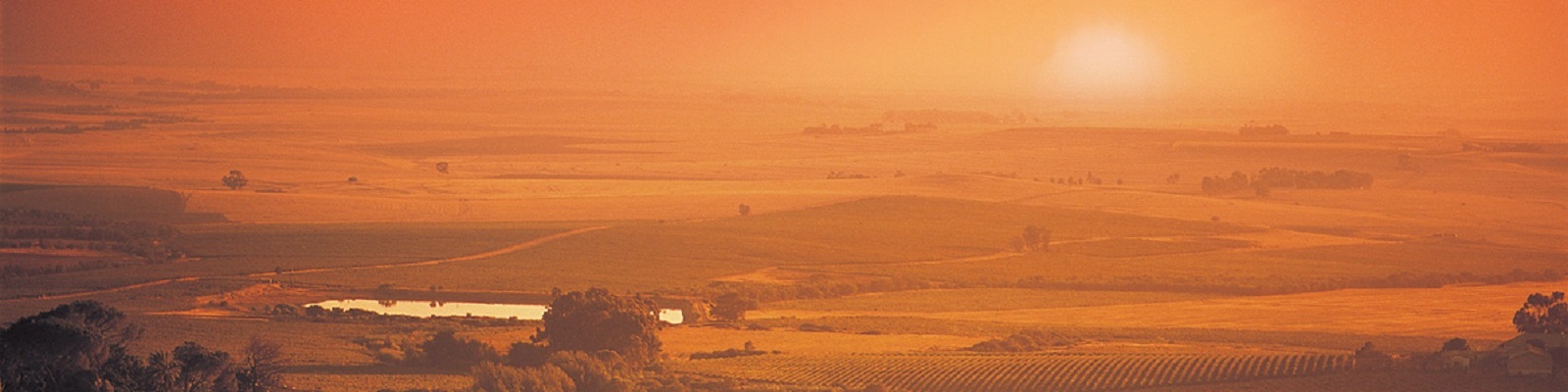 Südafrika Weinberge