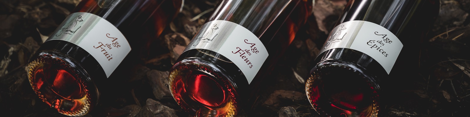 Cognac Léopold Gourmel Drei Weinflaschen liegen auf braunem Laub. Die Etiketten zeigen die Aufschriften -Age du Fruit-, -Age des Fleurs- und -Age des Épices-, umgeben von natürlicher Umgebung.