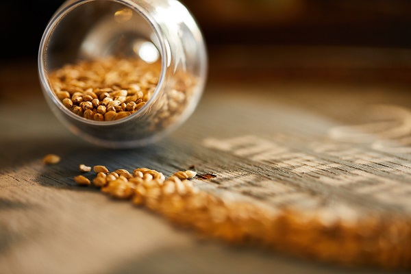 Ein Glas mit goldenen Körnern liegt auf einem Holzuntergrund. Einige Körner sind aus dem Glas gefallen und verteilen sich darüber. Der Hintergrund ist weich und warm.