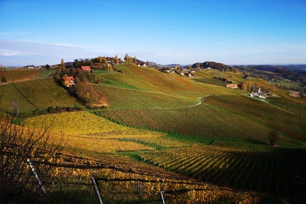 Weinberge erstrecken sich über sanfte Hügel mit Häusern im Vordergrund. Im Hintergrund sind beeindruckende Berge und ein kleiner Ort sichtbar, unter einem klaren Himmel mit einigen Wolken.